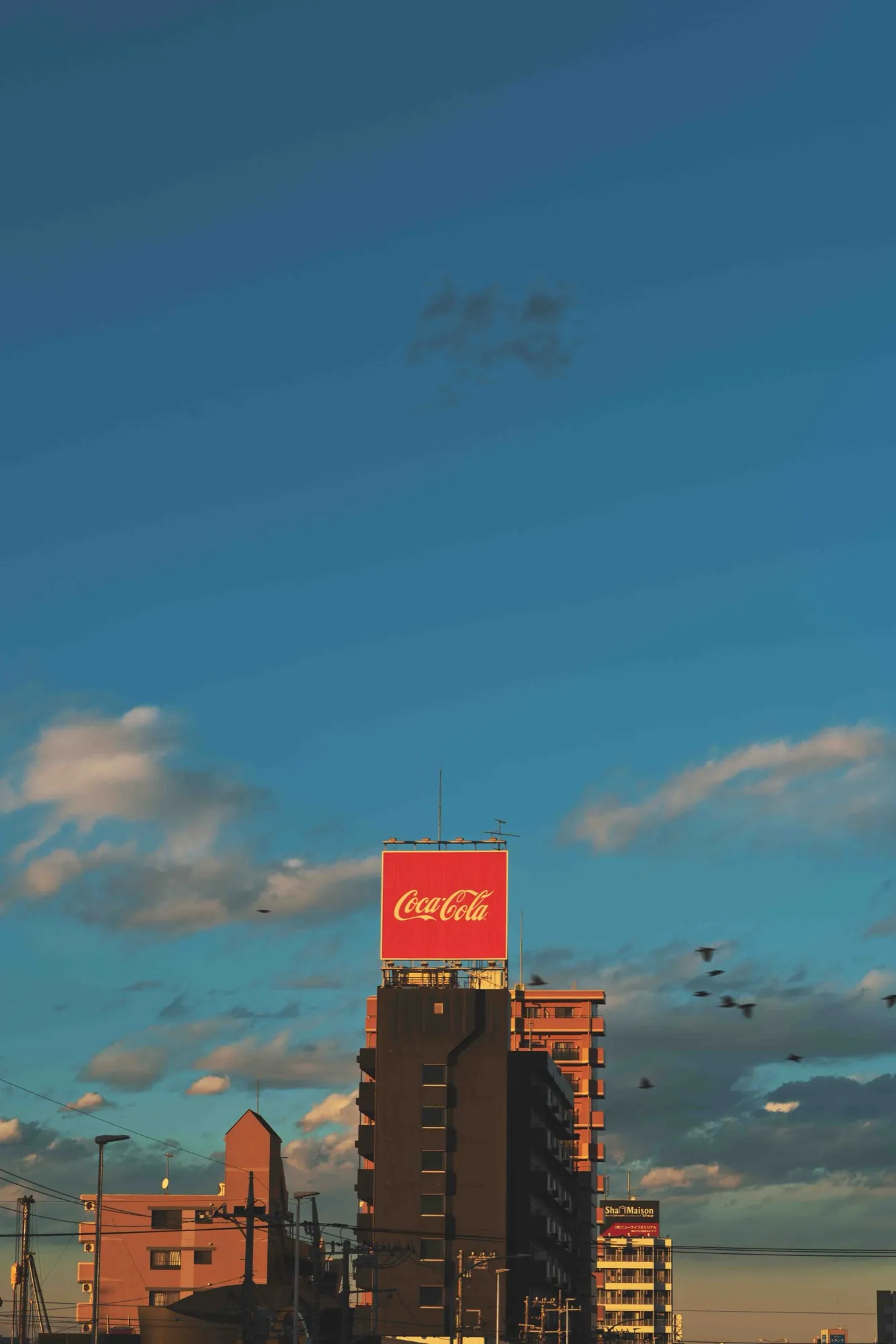 REC_006