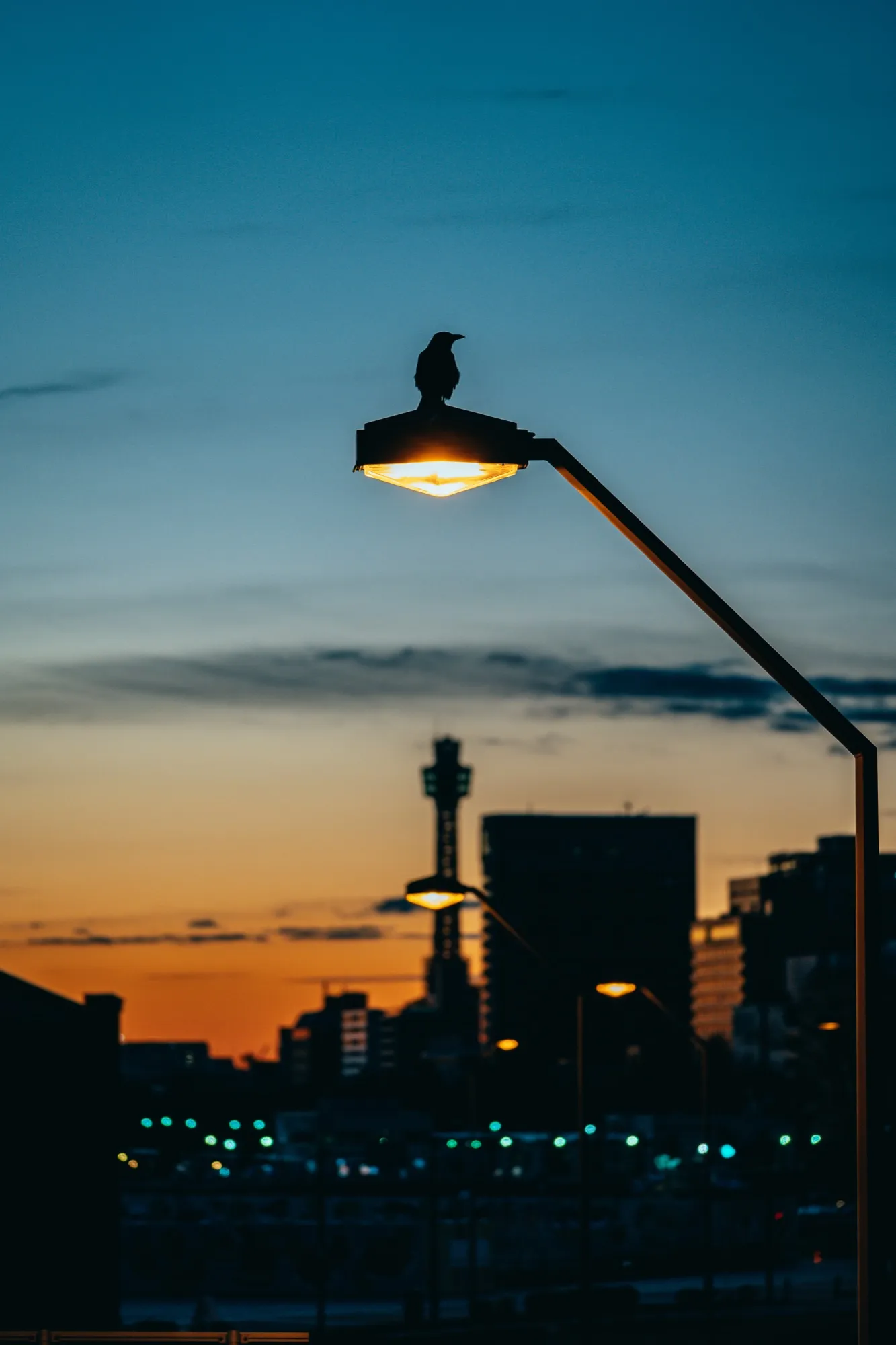 REC_019