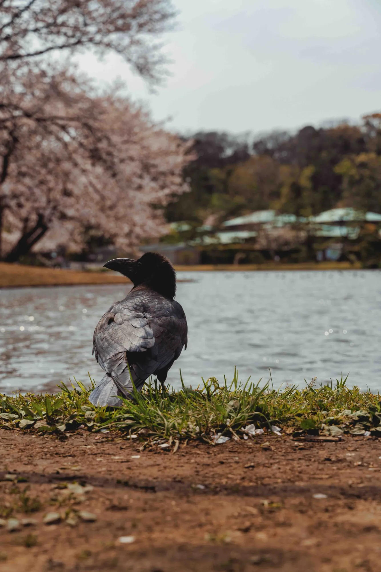 REC_041